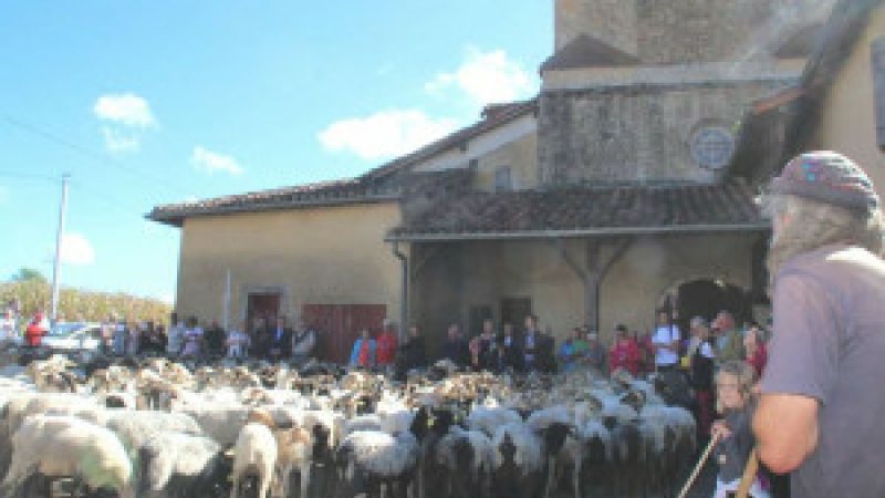 La route de la transhumance