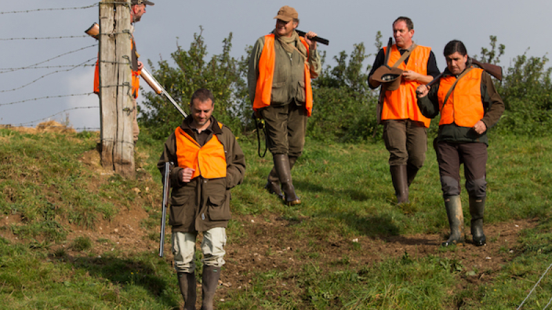 Ouverture de la chasse