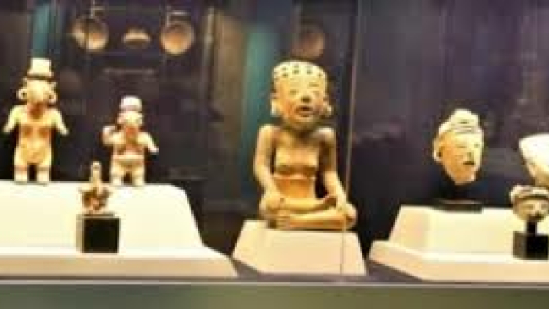 Le musée des Jacobins s'anime pour les journées européennes du patrimoine