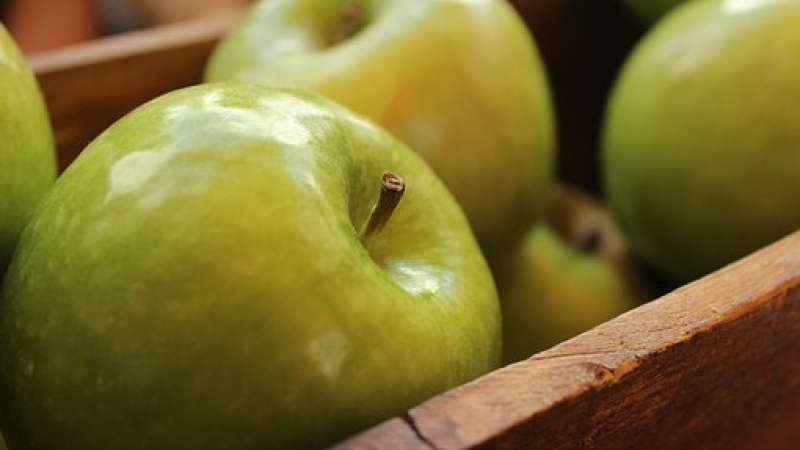 Croque ton jus : Rendez-vous samedi 30 septembre autour du pressoir