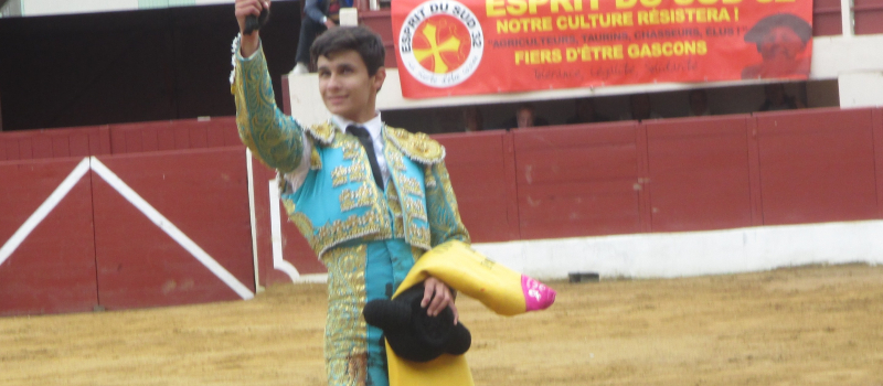 Toros y vinos