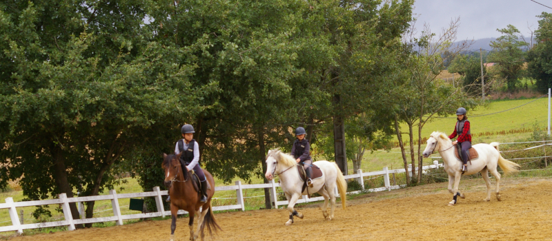 Poney club des trois collines  a Couloumé-Mondébat