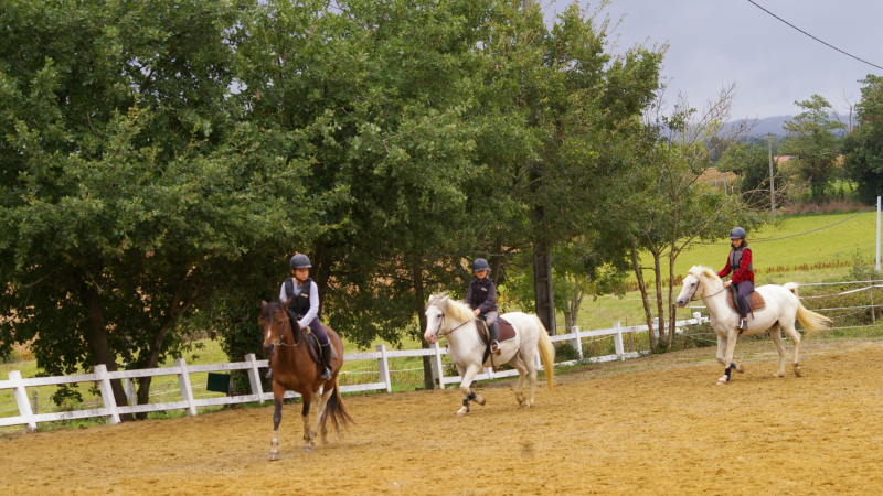 Poney club des trois collines  a Couloumé-Mondébat