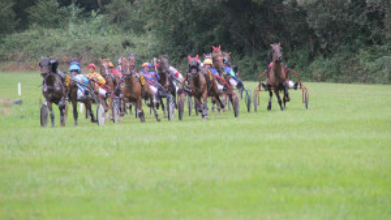 Courses de chevaux