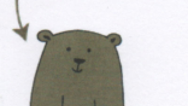 L'Isle-Jourdain  /  L'Ours brun vous invite...
