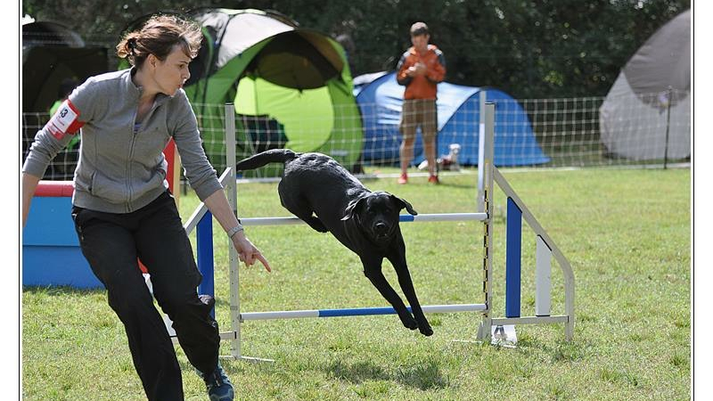 Concours national Agility au club de Lombez