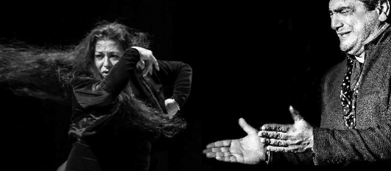 Montesquiou - Stage flamenco