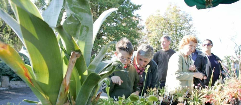 Foire aux plantes rares : 15ème édition