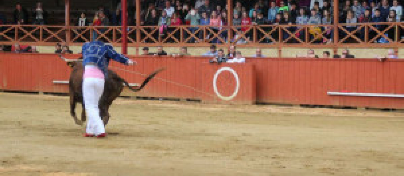 Course landaise