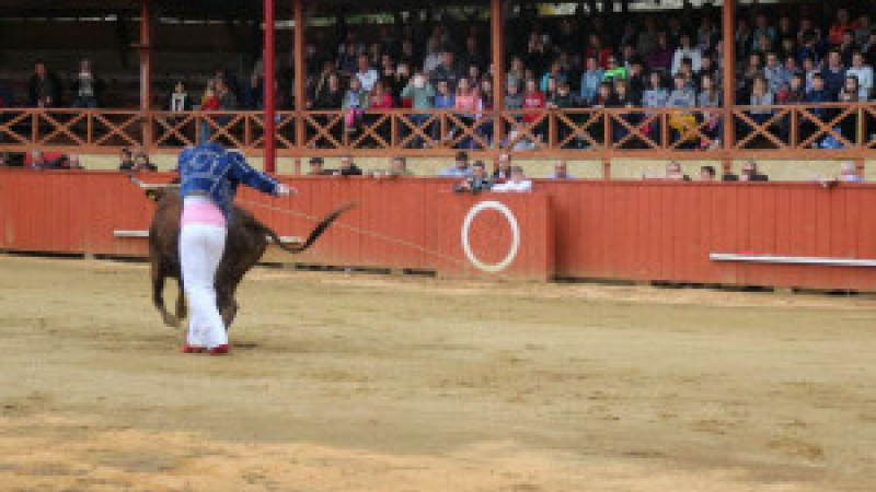Course landaise