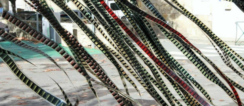 Festival du Film Court en Armagnac - Le prix est attribué à...