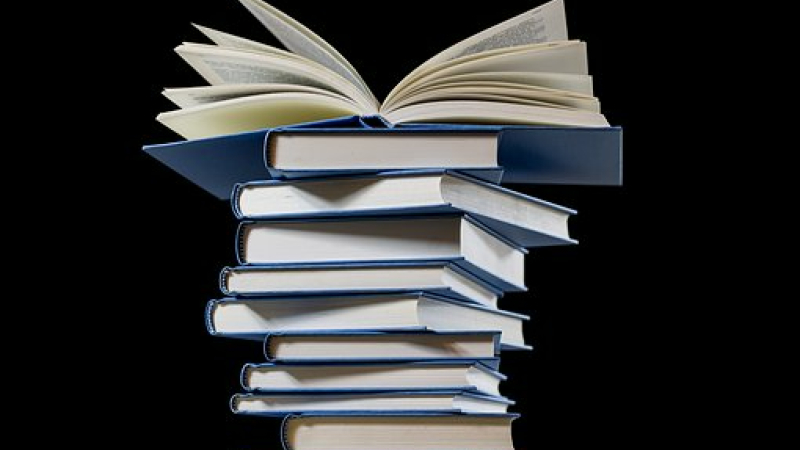 Foire aux livres