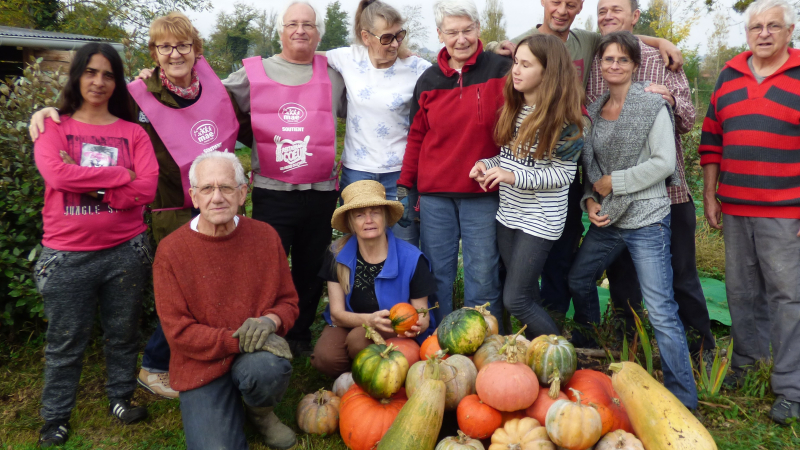 Les citrouilles du jardin partagé