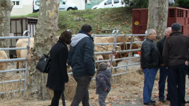 La foire investit les rues de la cité riscloise