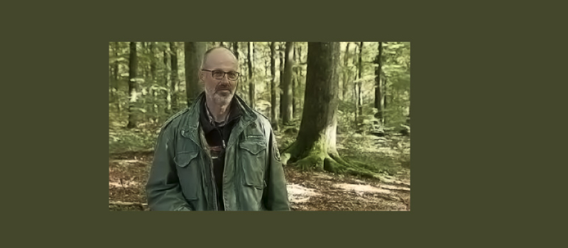 Nogaro - L’intelligence des arbres