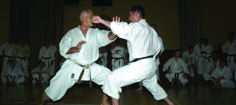 KARATE LAVORATO TEISHO UKE.jpg