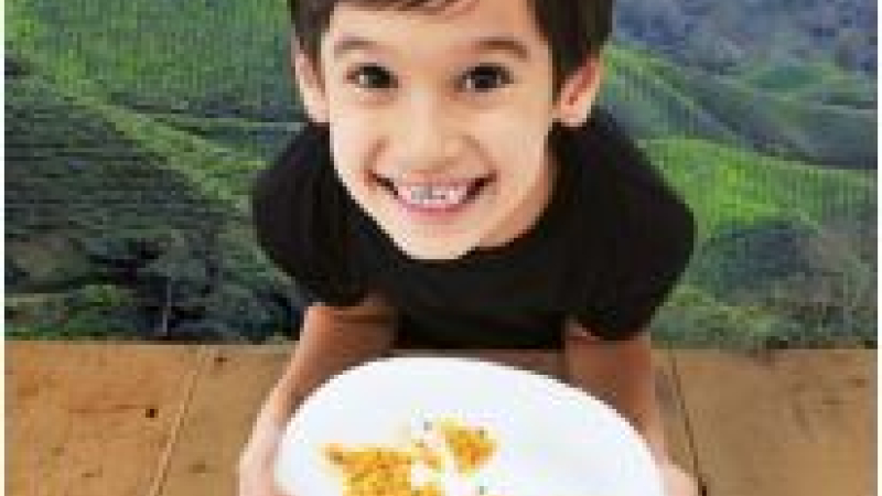 Festival ALIMENTERRE :
