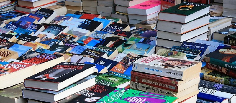 Auch - Salon du livre à la Maison de Gascogne