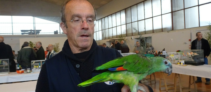 La bourse aux oiseaux exotiques a fait recette 