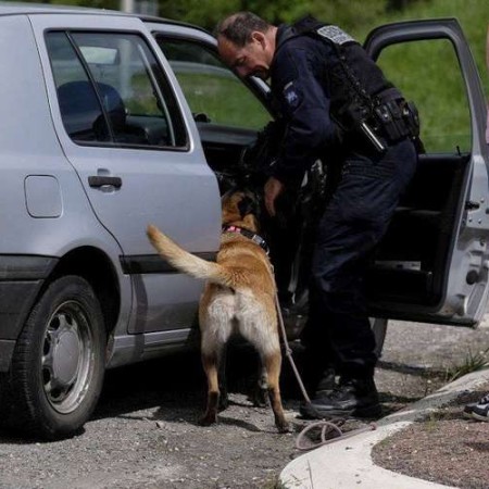 une-equipe-cynophile-etait-presente-avec-un-chien-specialise-dans-la-recherche-de-la-drogue.jpg