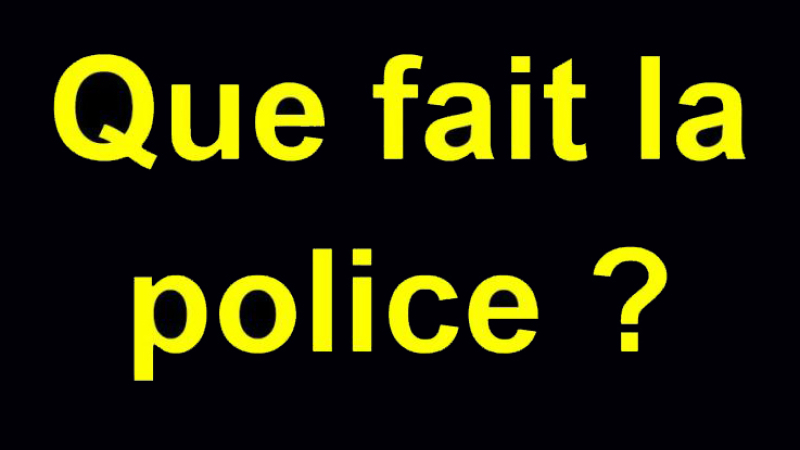 Mais que fait la police ? 