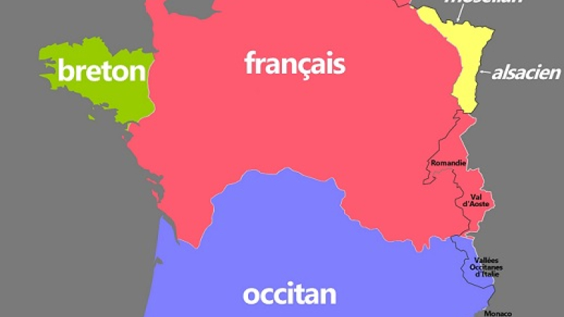 Langues indigènes d'Europe : La situation Française en discussion au parlement européen à Strasbourg.