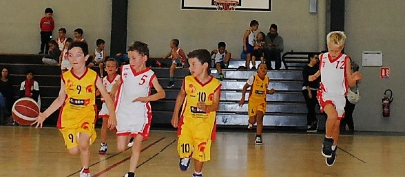 Basket. Les jeunes arrivent en nombre