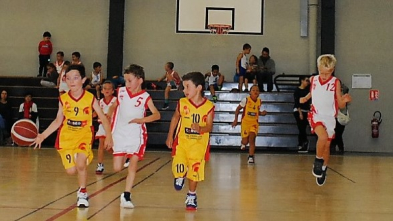Basket. Les jeunes arrivent en nombre