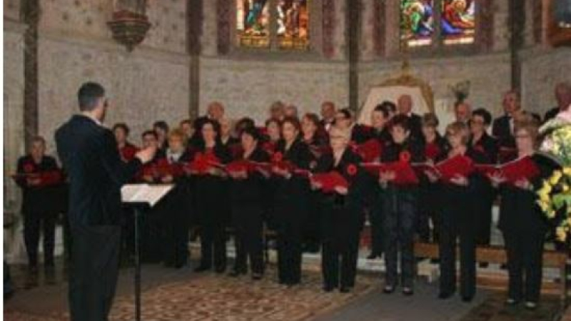 Les Amis des Orgues:concert