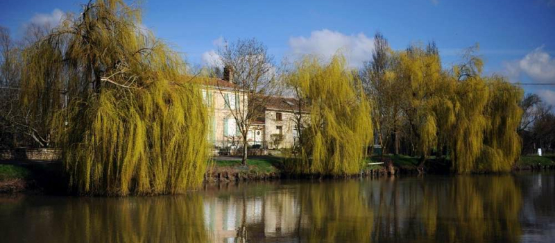 Exposition à la Cavéa : «Sur la trace des marais»