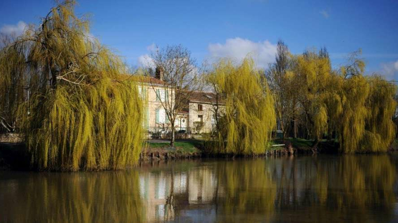 Exposition à la Cavéa : «Sur la trace des marais»