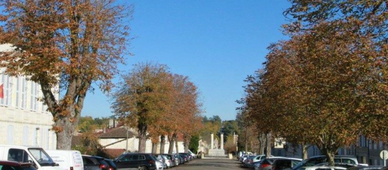 Encore de l’espoir pour les arbres des Promenades !