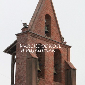 MARCHE DE NOEL PUJAUDRAN.JPG