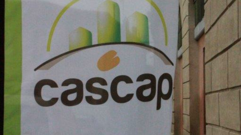 CASCAP : petit historique, définition et assemblée générale