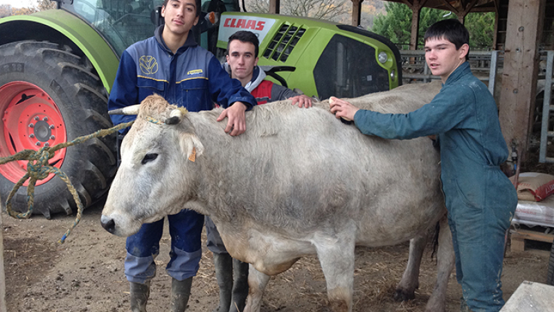 Le lycée agricole de Valentées à l'honneur