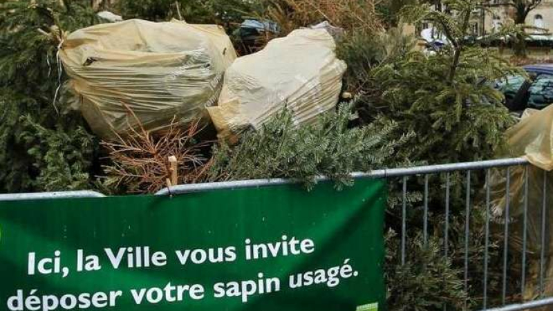 Après les fêtes, offrez une seconde vie à votre sapin
