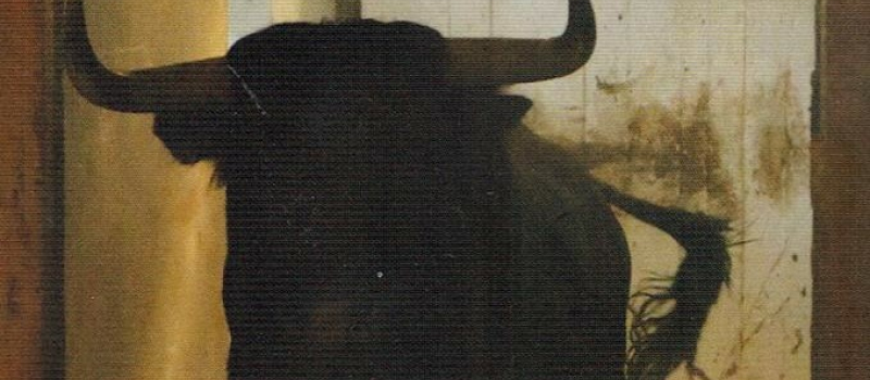 Voeux du club taurin