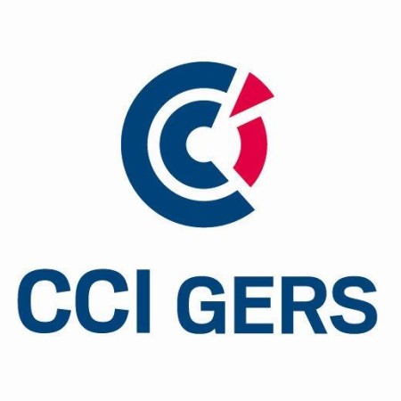 logo CCI du Gers.jpg