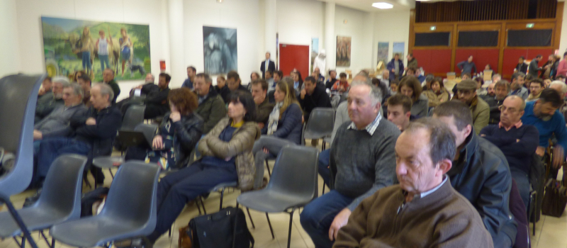 Assemblée générale du Syndicat des producrteurs de miel de France