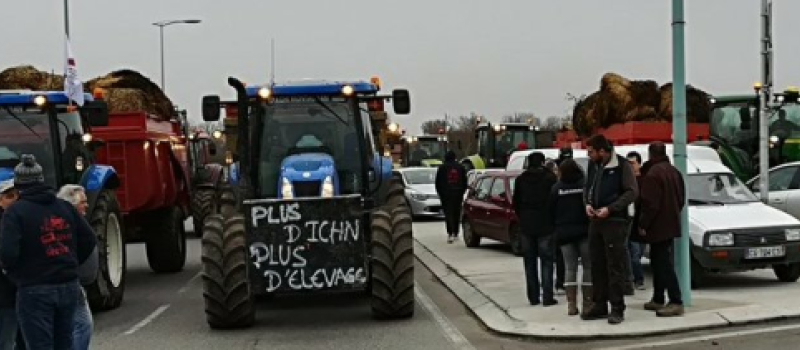 Zonesagricolesdéfavorisées : CaroleDelgademande un rendez-vousurgentau Ministre de l'Agriculture