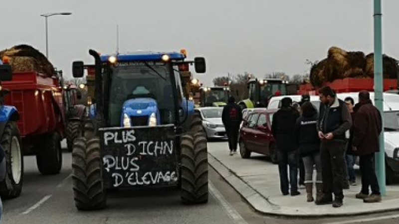 Zonesagricolesdéfavorisées : CaroleDelgademande un rendez-vousurgentau Ministre de l'Agriculture