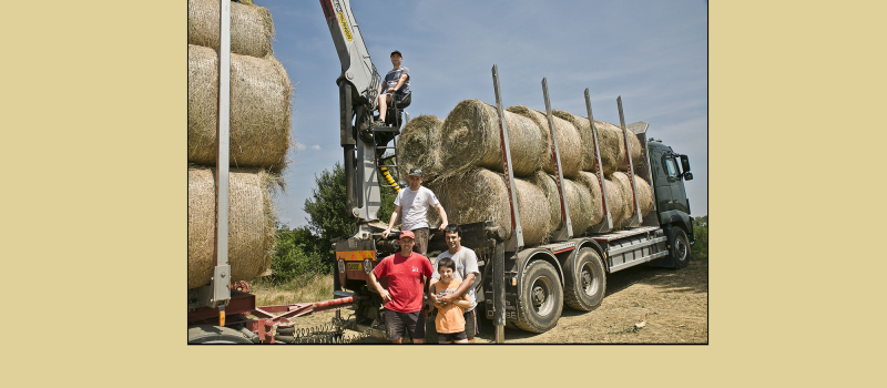 Retraités agricoles: la MSA répond à notre article (1)
