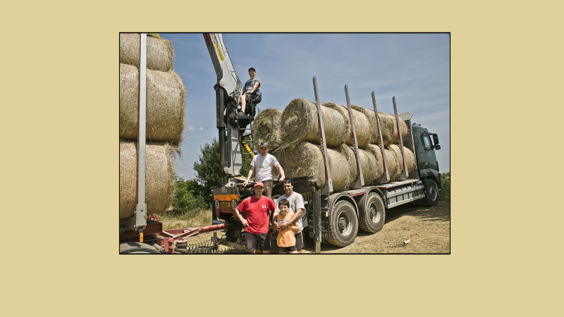 Retraités agricoles: la MSA répond à notre article (1)