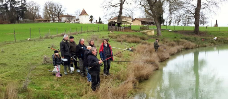 Pêche à la truite : belles prises au lac