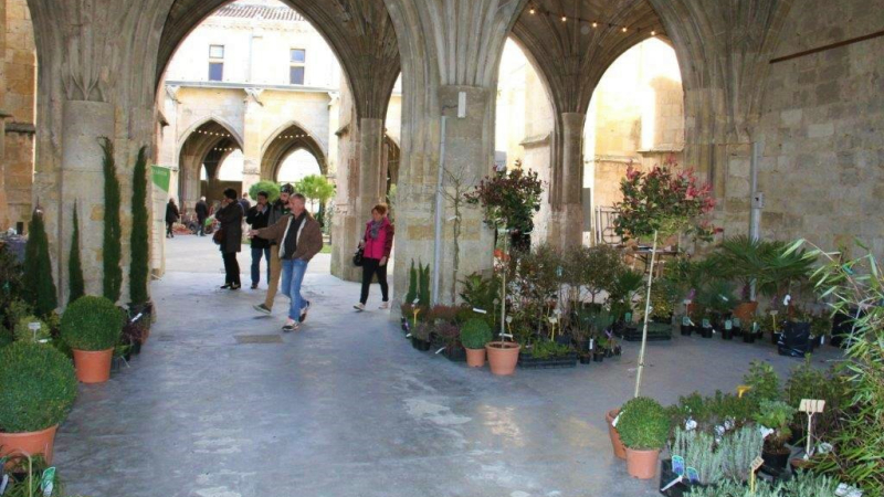 26ème Marché de la pépinière