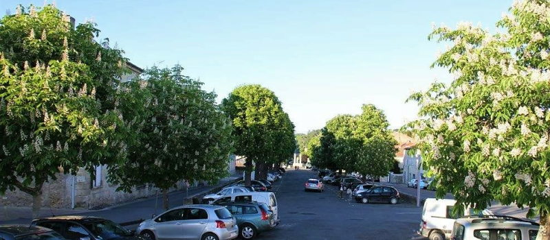 Lancement des travaux d’aménagement des Promenades et des Places de la Liberté et du Souvenir