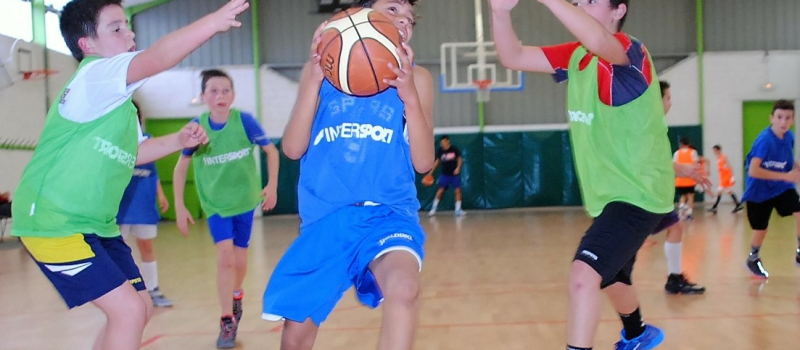 Basket. Clubs et Comité "au taquet"