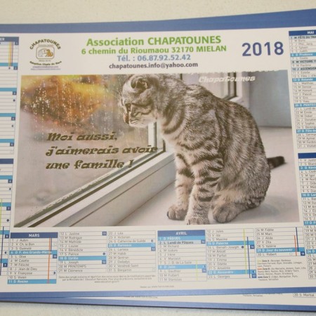 Chapatounes Calendrier 2018.JPG