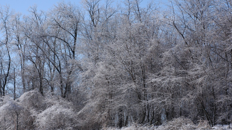 Le Gers en vigilance jaune pour neige et verglas