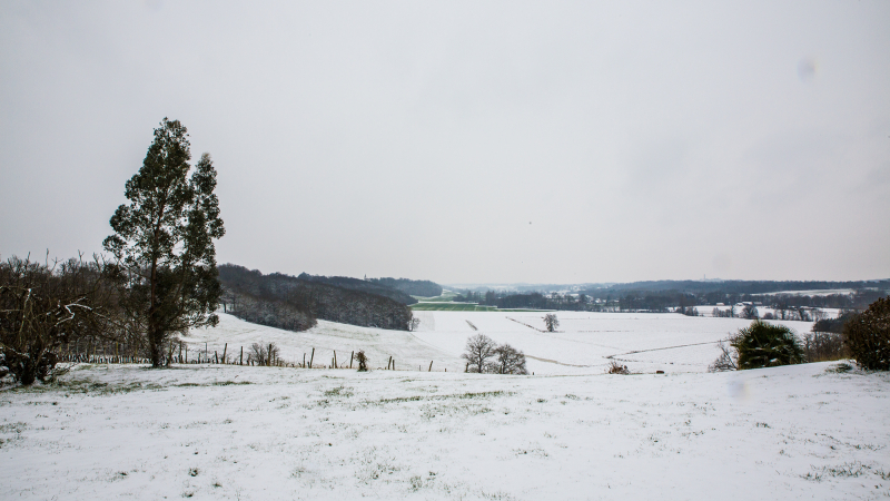 Paysage de neige